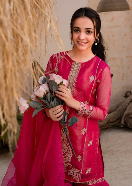 Ready to Wear Kurti Plazo Set in Diamond Georgette with Heavy Embroidery Sharara Suit Collection for Resellers