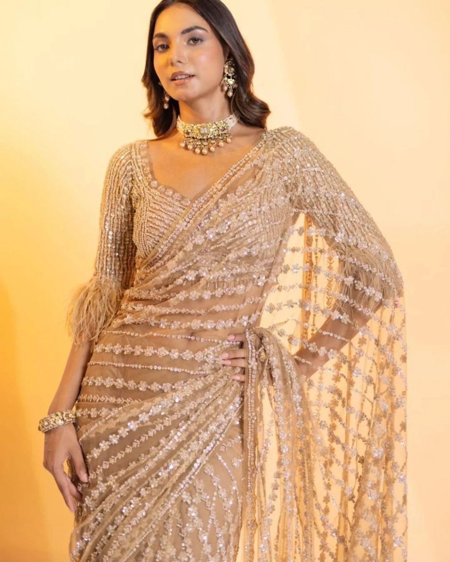Beautiful fancy Sequance Embroidery Work With Feather Lace In Pallu Border Saree